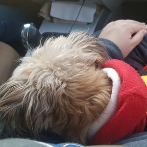 Meet your Posher, Nadia